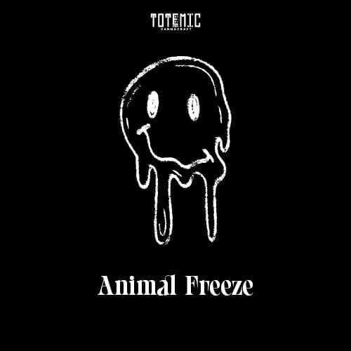 Animal Freeze