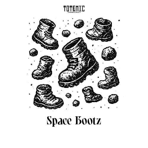 Space Bootz